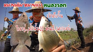 Repeat the same meaning. More is bigger, more. Fishing at Khlong 13, Nong Chok