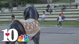 UT looking to expand online options as part of effort to get majority of Tennesseeans a degree