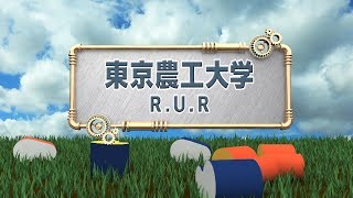 今年もアロハ？驚異のジャンプ力に大注目/東京農工大学/NHK学生ロボコン2019/ROBOCON Official [robot contest]