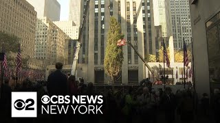 Crews set up 2024 Rockefeller Center Christmas tree in NYC