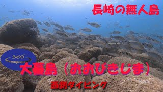 【360°動画】Diving 長崎の無人島　大蟇島（おおびきじま）西側　ダイビング VRmovie　insta360 one x2 2021年7月18日　イサキの群れ群れ！！