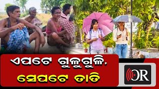 ଏପଟେ ଗୁଳୁଗୁଳି, ସେପଟେ ତାତି | Odisha Reporter