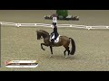 dressage disaster annabella pidgley trains with helgstrand fiyr lovsta future challenge