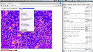 debugging KI67 analysis while using imagejs