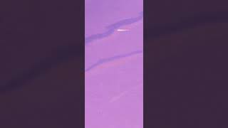 Pocahontas -edit (Snowman)