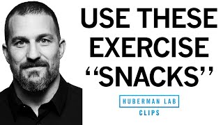 "Exercise Snacks" to Improve & Maintain Fitness | Dr. Andrew Huberman