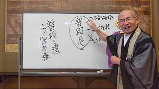 【朝の法話】第206回 真実の自己～仏に出会う～