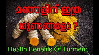 #TurmericHealthBenefits   #മഞ്ഞൾ മഞ്ഞളിന്റെ ഗുണങ്ങൾ എന്തൊക്കെ?മഞ്ഞൾ എങ്ങനെ ഉപയോഗിക്കണം?