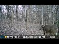 actual footage from the gardepro e5s trail camera