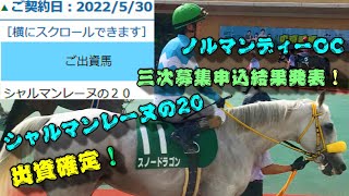 【一口馬主】底辺一口邁進中第七十四話～ノルマンディーOC2020年産三次募集馬申込結果発表！-ウェルカム！スノードラゴン産駒！！-～【ノルマンディーOC】