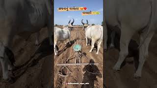 સપનાનું વાવેતર ❤️🥰 || વાવણી 😍😍 #farmerlife #farmerfarmer #vlog #tractor #વાવણી