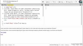 CSS Simple Attribute Selectors | Target Elements with Attributes