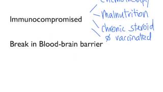 Meningitis (Part 1)