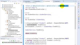 SpringBoot POJO Programming Model