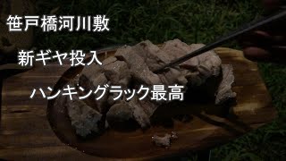 ガトのボッチキャンプ　シーズン14　笹戸橋河川敷でハンキングラック使ってみた