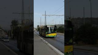 Škoda 27Tr Solaris in Žilina🇸🇰 #trolleybus #publictransport #zilina #shorts