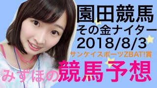 【競馬予想】園田競馬 その金ナイター サンケイスポーツ ZBAT!賞 みずほの競馬予想