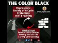 color black magical uses