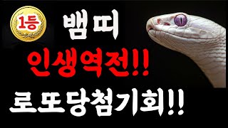 [뱀띠]뱀띠 주목 2025년 을사년 대박 뱀띠 로또 1등 당첨 운세 뱀띠 운명 하늘에서 금덩이 하나 터진다 뱀띠 운명 바뀐다 41년생 53년생 65년생 77년생 89년생 01년생