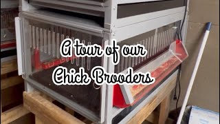 Producers Pride Brooder Tour