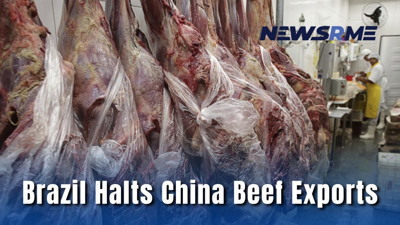 Brazil Halts China Beef Exports - YouTube