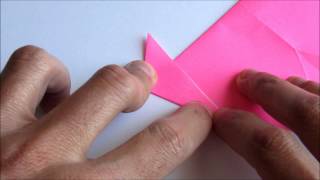 Origami Reverse Folds