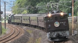 『D51 498 赤プレ+EF64 37』SL\u0026ELレトロ碓氷 2018 9/9 in信越本線