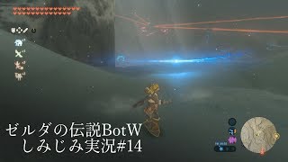 ゼルダの伝説BotW DLC第2弾をしみじみ実況 #14