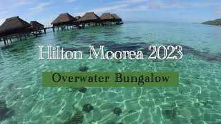 Hilton Moorea Overwater Bungalow 2023