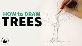 How to Sketch & Draw Trees - Understanding the Fundamentals