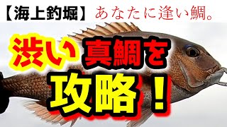 【釣り・海上釣堀】「あなたに逢い鯛。」喰わない真鯛を完全攻略！？初めてご覧いただいた視聴者さん、はじめまして！おうみ楽釣会青年部と申しますm(__)m