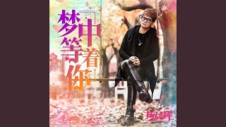 梦中等着你（吉特巴舞曲） (DJ何鹏版)