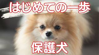 保護犬猫との暮らし／救える命のためにあなたならどう選択しますか？ Vol.40