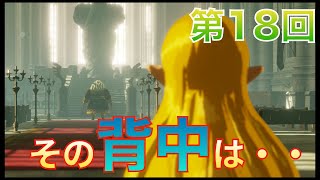 [ゼルダ無双] 厄災の黙示録 第18回 始まりの台地救援戦を攻略！[Switch]