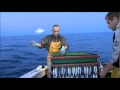 Pêche du merlu à la ligne