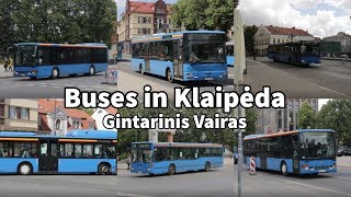 Buses in Klaipėda,LT | Gintarinis Vairas