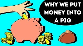 That's Why Piggy Banks Are Pigs