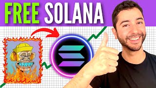 How To Burn Spam NFTs (And Get FREE Solana!!)