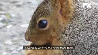 Meet Cass, a friend of UC Berkeley's squirrels