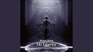 No Gravity