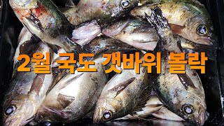 지난 2월 국도 볼락 낚시🎣 만쿨