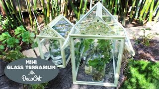 HOW TO: Mini Glass Terrariums | DecoArt®