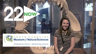 22 Now | NC Museum of Natural Sciences