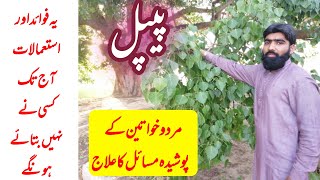 peepal ke fayde | پیپل سے علاج | purani khansi ka ilaj | pipal ka kia fayda ha |