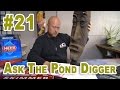 Pond Care, Water Evaporation, Easy Water Changes - Ask T.P.D. Show 21