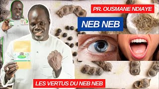 ✅️ LES VERTUS DU NEB NEB (CATARACTE - MAUVAIS HALEINE - RHUMATISME MAUX DE DENTS) PR. OUSMANE NDIAYE