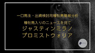 【一口馬主】種牡馬入りの話題 ジャスティンミラノとプロミストウォリアの簡易分析【ゆっくり動画】