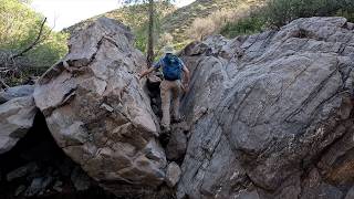 A BUSHWACK BEAUTY in Mazatzal Mountains of Arizona #3 (Moderate Clues)