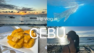 【海外vlog】3泊4日のセブ島旅行✈️/ジンベイザメツアーに参加🦈