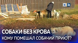 🐶В Краснодаре разрушили самодельный приют для собак